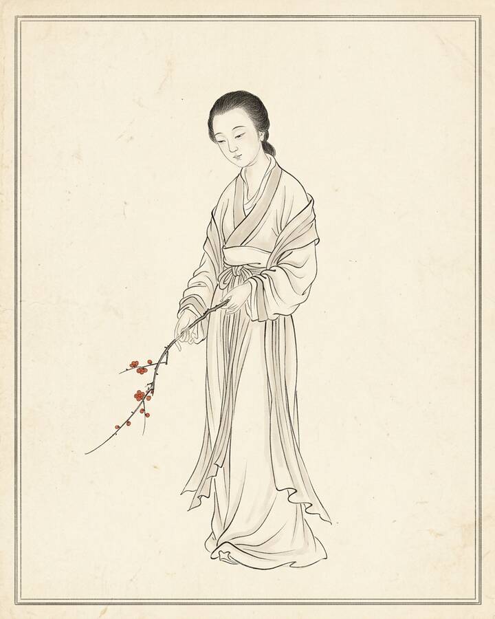 Qin Keqing（綽号 Combined Beauty）の水墨の冊葉肖像。
